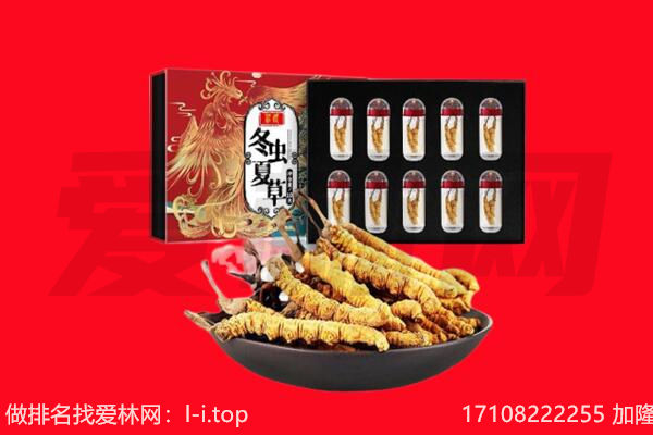丽水市庆元回收虫草.jpg